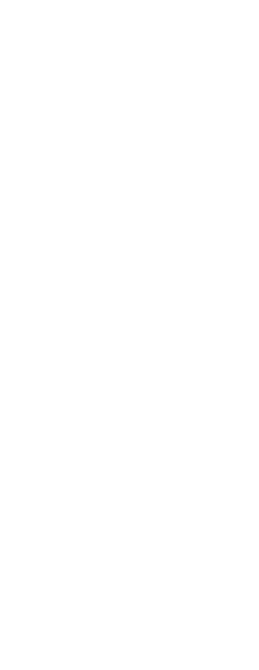 Bass